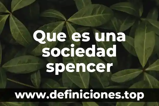 Que es la sociedad del conocimiento resumen 8 Que es una sociedad spencer