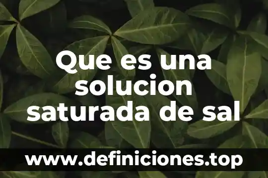 Que es una solucion saturada de sal