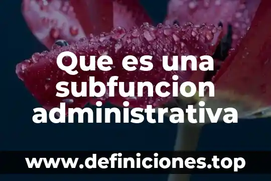 Que es un autorizacipon administrativa 7 Que es una subfuncion administrativa