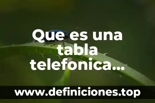 Que es la tabla fat 6 Que es una tabla telefonica administrativa