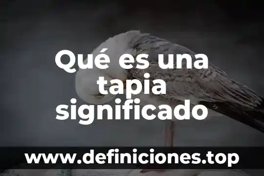 Qué es un jardín botánico significado 8 Qué es una tapia significado