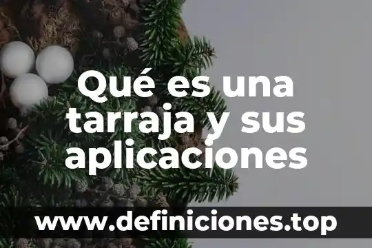 Qué es la tierra de diatomeas y sus aplicaciones 3 Qué es una tarraja y sus aplicaciones