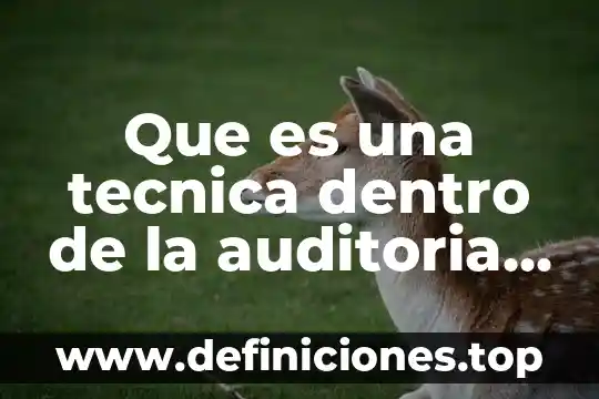 Que es directivo o apelativo 4 Que es una tecnica dentro de la auditoria adminsitartiva