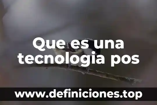 Que es una tecnologia pos