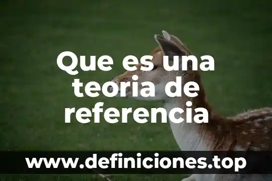 Que es una teoria de referencia