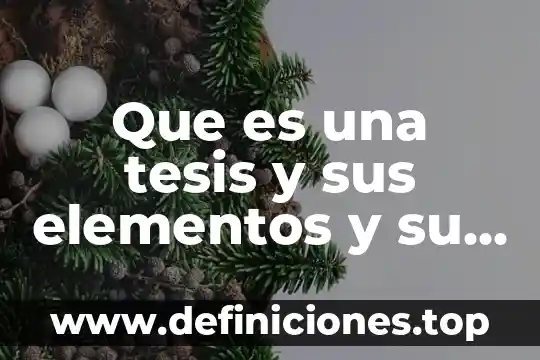 Que es una tesis y sus elementos y su objetivo