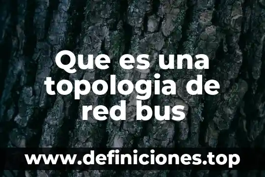 Que es una topologia de red bus