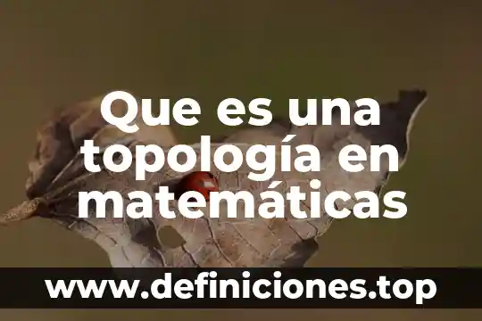 Que es una topología en matemáticas