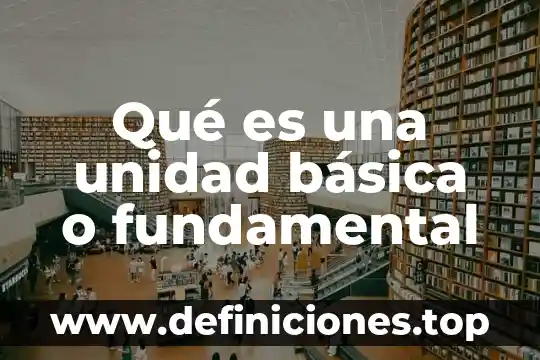 Qué es una unidad básica o fundamental