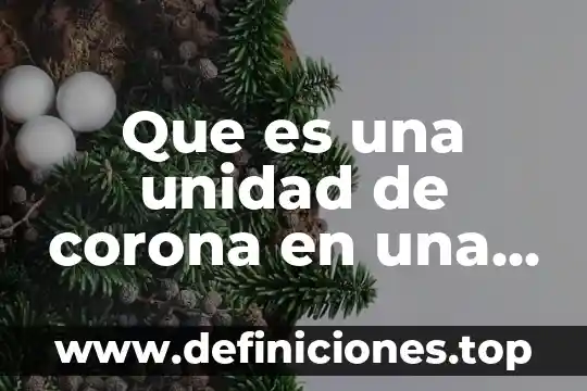 Impresora de una computadora que es 4 Que es una unidad de corona en una impresora