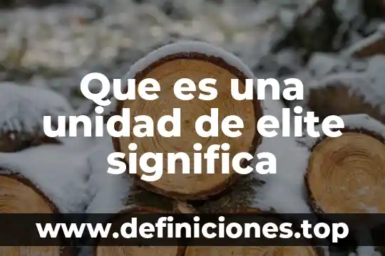 Que es un disco de unidad usb 3 Que es una unidad de elite significa