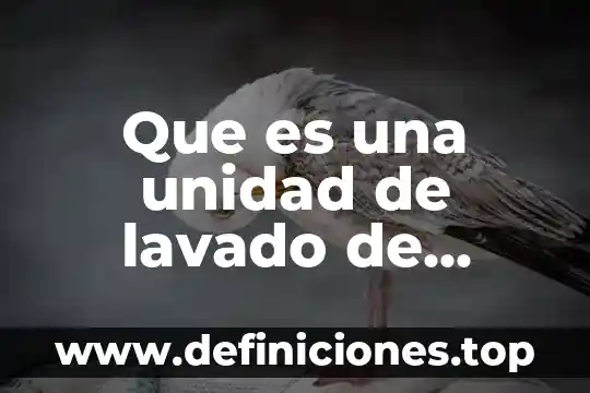 Que es cadenas y redes troficas 5 Que es una unidad de lavado de cadenas