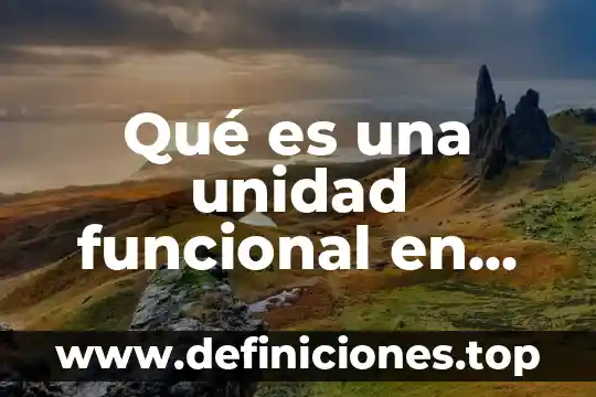 Que es el sistema funcional complejo 8 Qué es una unidad funcional en una empresa