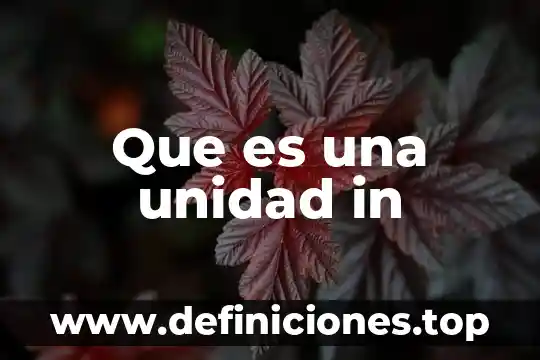 Que es la unidad perm 6 Que es una unidad in