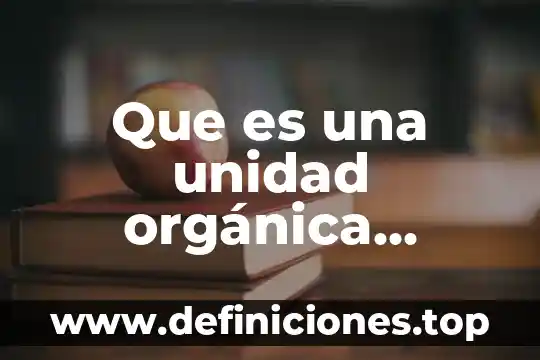 Que es el desarrollo turistico municipal 5 Que es una unidad orgánica municipal