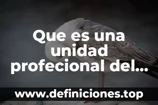 Que es una unidad profecional del ipn