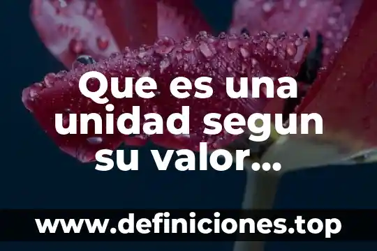 Que es el valor economico de un bien 3 Que es una unidad segun su valor posicicional