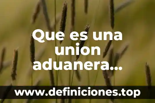 Que es umbral en materia aduanera 7 Que es una union aduanera unam