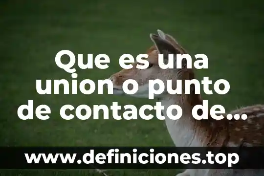 Que es la electricidad tema de primaria 4 Que es una union o punto de contacto de electricidad