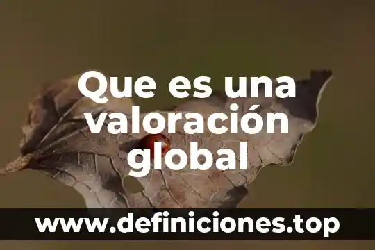Que es una valoración global