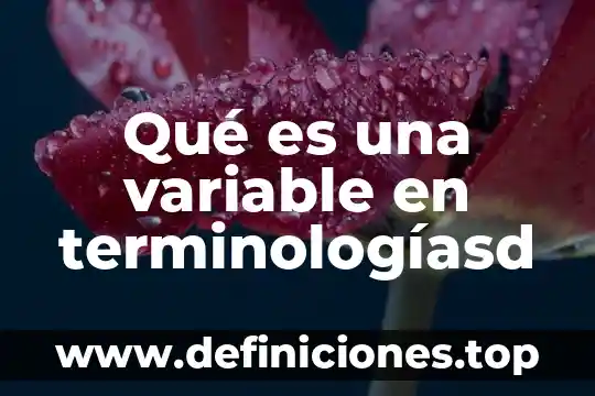 Qué es una variable en terminologíasd
