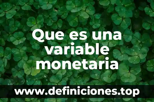 Que es la base monetaria en mexico 3 Que es una variable monetaria