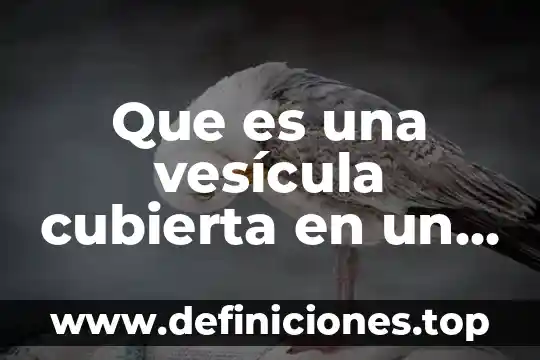 Que es una vesicula secretora y sus funciones 7 Que es una vesícula cubierta en un sistema endomembranoso