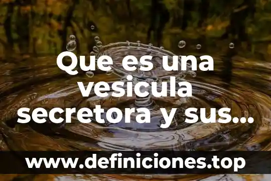 Que es una vesícula cubierta en un sistema endomembranoso 4 Que es una vesicula secretora y sus funciones