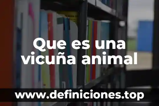 Que es una vicuña animal