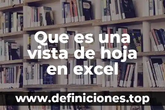 Que es una vista de hoja en excel