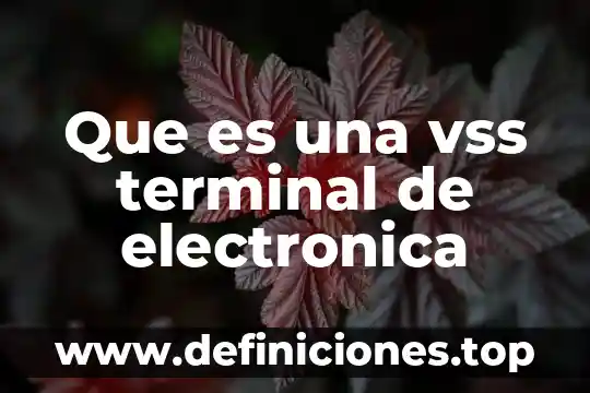 Que es una vss terminal de electronica