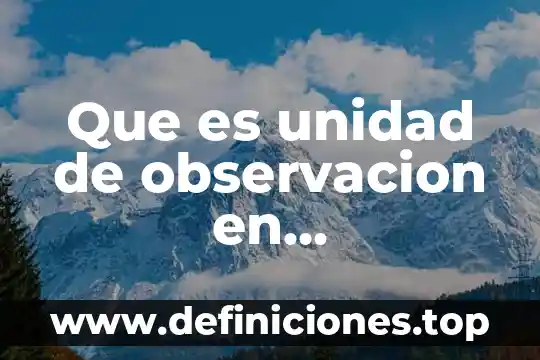 Que es unidad de observacion en metodologia