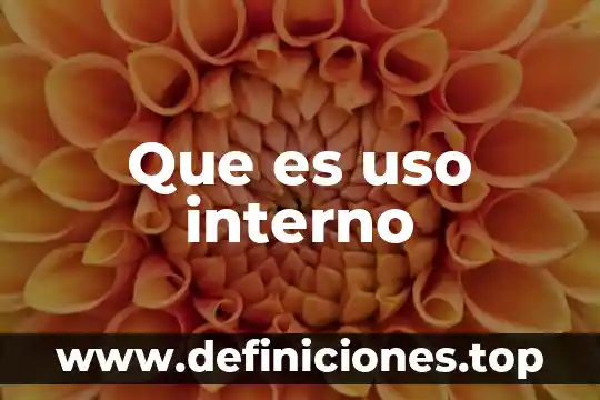 Que es el neocolonialismo interno 5 Que es uso interno