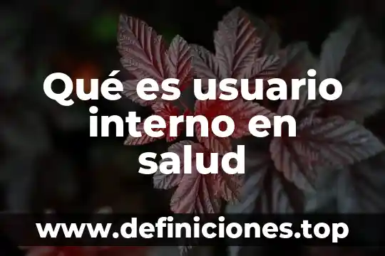 Qué es un diseño de interfaz de usuario 4 Qué es usuario interno en salud