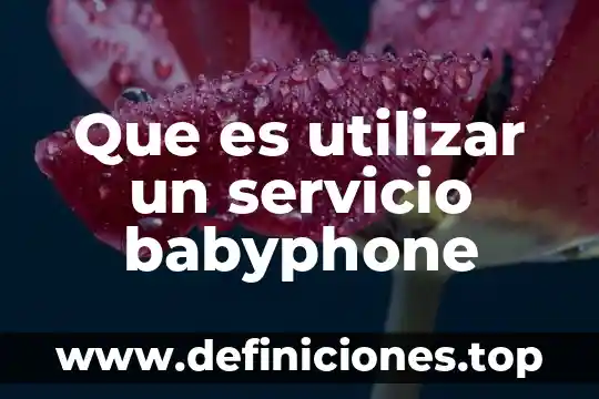 Prestador de servicio que es 4 Que es utilizar un servicio babyphone
