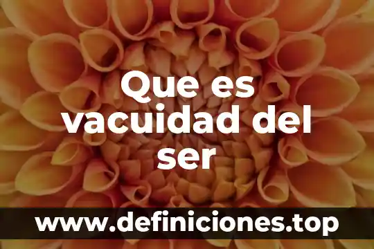 Que es vacuidad del ser
