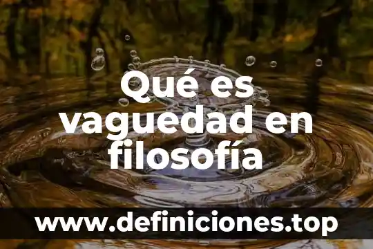 Qué es vaguedad en filosofía
