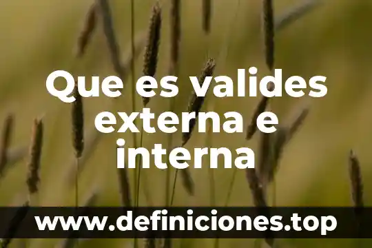 Que es la pilitica interna 4 Que es valides externa e interna