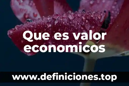 Que es valor economicos