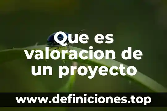 Que es valoracion de un proyecto