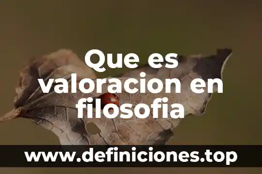 Que es valoracion en filosofia