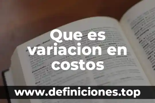 Que es cuantificación en costos 3 Que es variacion en costos