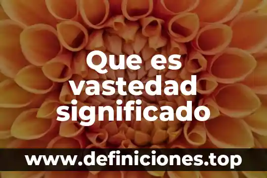 Que es el significado de deporte 3 Que es vastedad significado