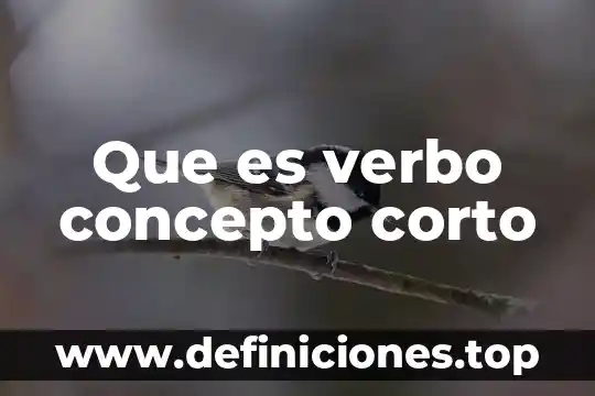 Que es verbo concepto corto