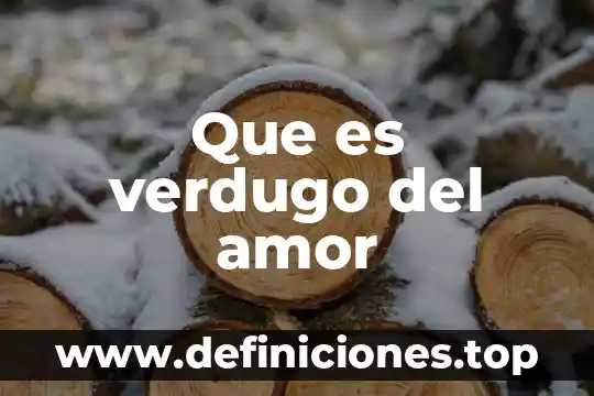 Qué es un amor fugaz 3 Que es verdugo del amor