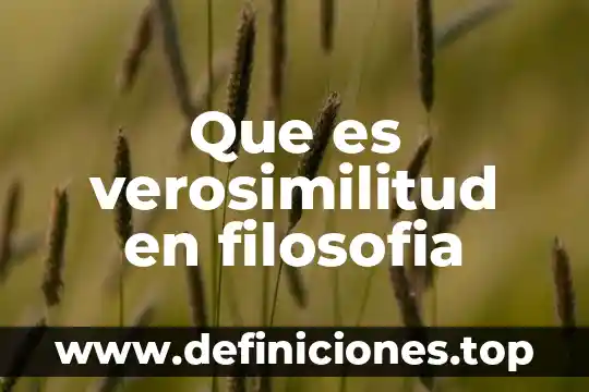 Que es verosimilitud en filosofia