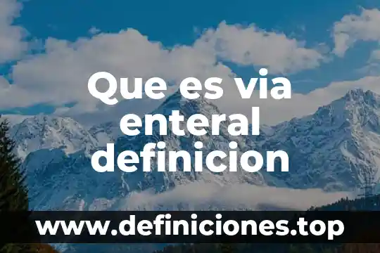 Que es via enteral definicion