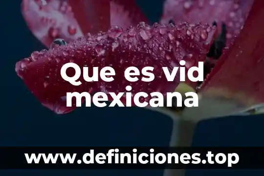 Constitución mexicana que es y para que sirve 7 Que es vid mexicana