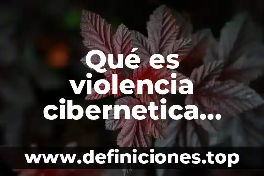 Qué es violencia cibernetica acoso digital