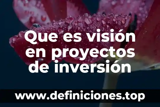 Que es un analisis de clasificación 4 Que es visión en proyectos de inversión